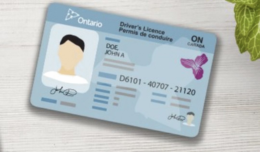 How to Renew or Replace Your Driver’s License in Ontario, Canada