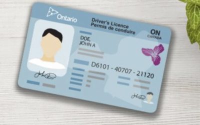 How to Renew or Replace Your Driver’s License in Ontario, Canada